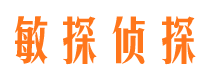 曲麻莱敏探私家侦探公司